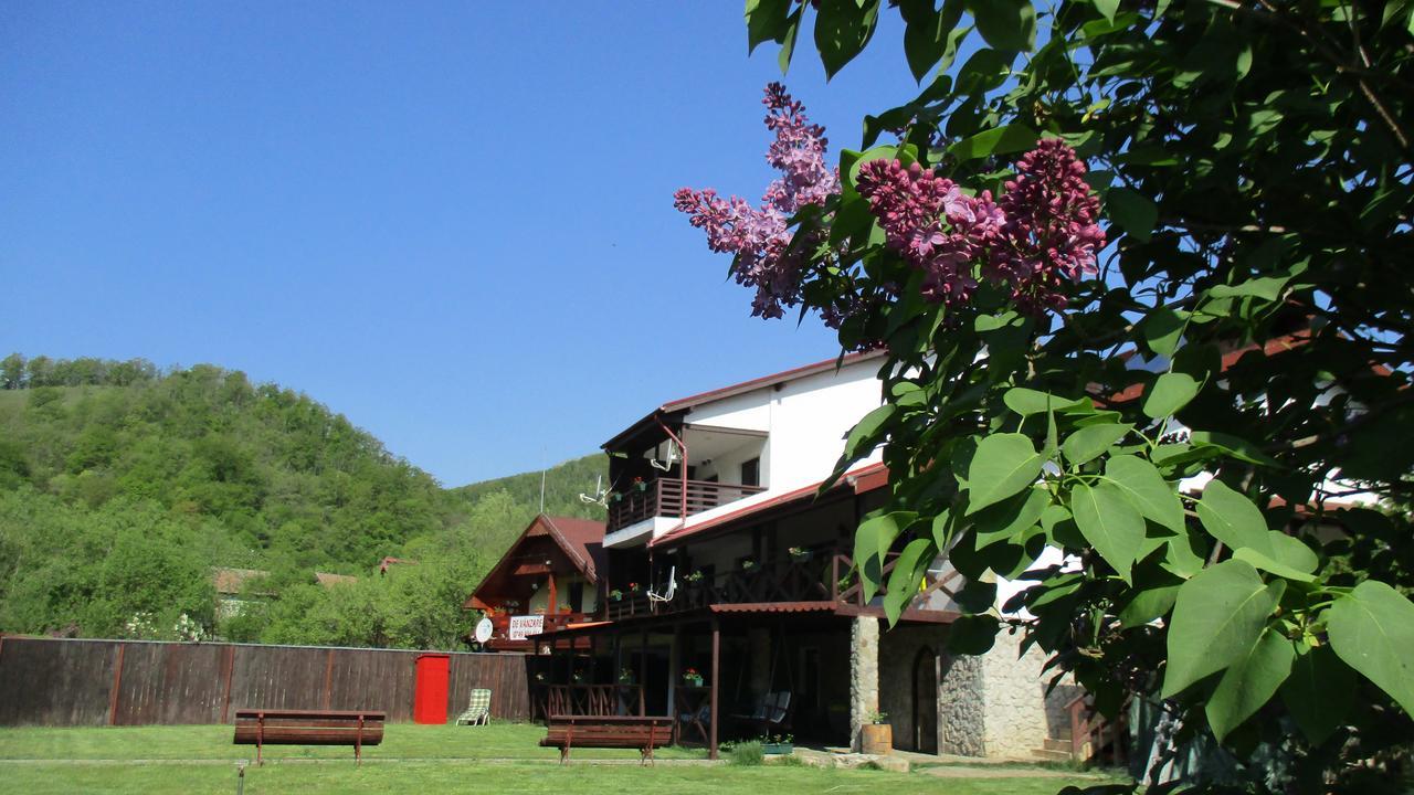 Cabana Poiana Galdei Ngoại thất bức ảnh